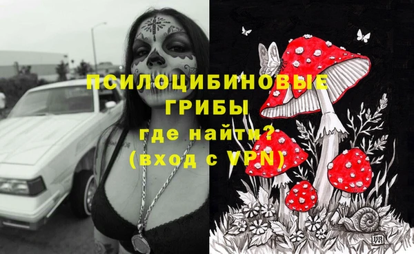 а пвп мука Магас
